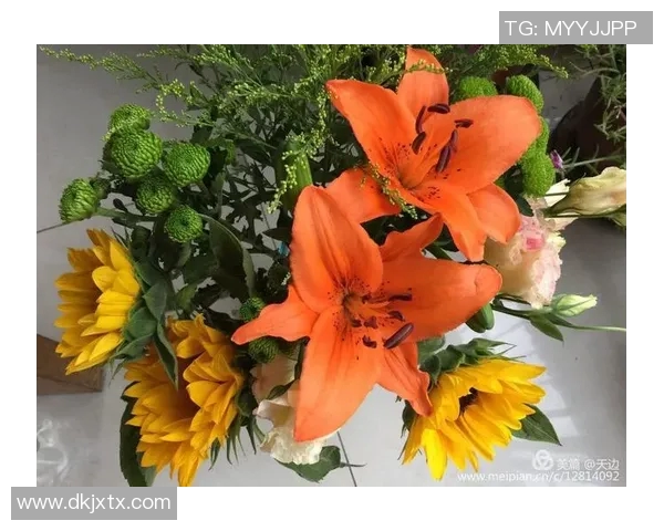 在3D晚秋的色彩中探寻生命的和谐与价值 在3D晚秋的色彩中探寻生命的和谐与价值